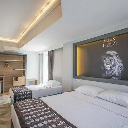 Hotel Aslan Hotel 2*