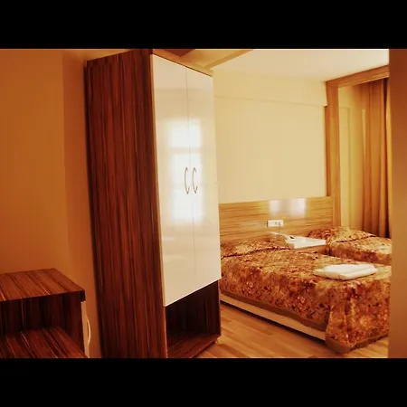 Aslan Otel 2*