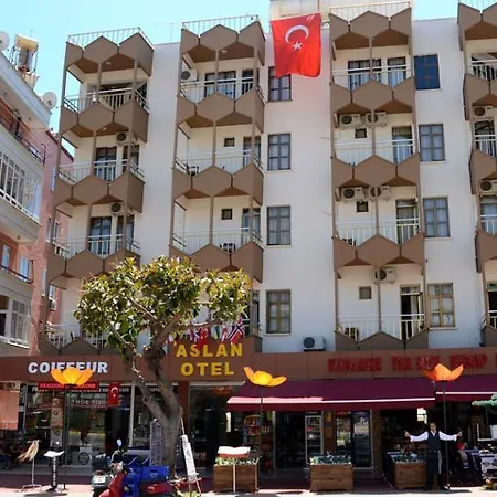 Otel Aslan 2*